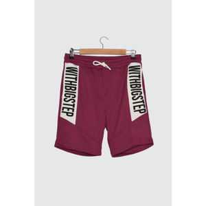 Trendyol Purple Men's Regular Fit Shorts & Bermuda