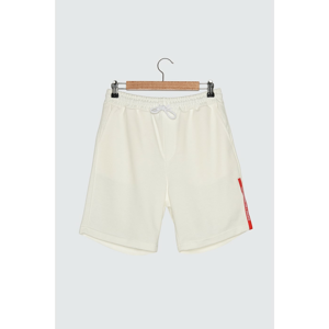 Trendyol White Male Regular Fit Shorts & Bermuda