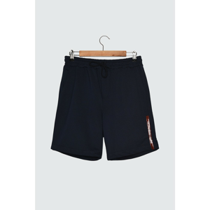 Trendyol Navy Blue Men's Regular Fit Shorts & Bermuda