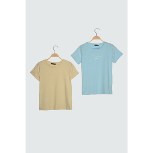 Trendyol Blue-Beige 2 Pack Basic Bicycle Collar Knitted T-Shirt