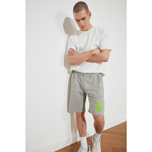 Trendyol Grey Men's Shorts & Bermuda