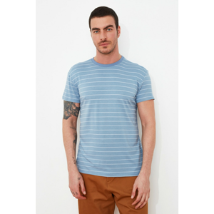 Trendyol Blue Male Regular Fit T-Shirt