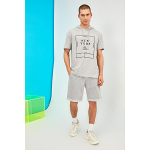 Trendyol Grey Male Regular Fit T-Shirt