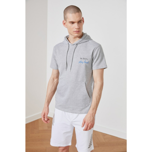 Trendyol Grey Male Regular Fit T-Shirt