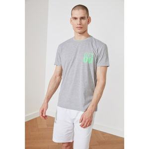 Trendyol Grey Male Slim Fit T-Shirt