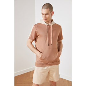 Trendyol Camel Male Regular Fit Sweatshirt