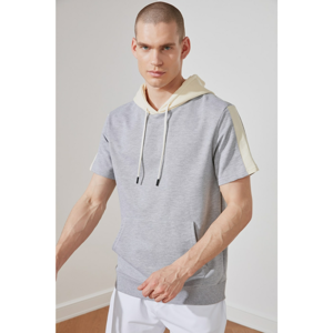 Trendyol Gray Male Regular Fit Sweatshirt