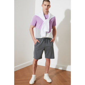 Trendyol Grey Men's Regular Fit Printed Shorts & Bermuda