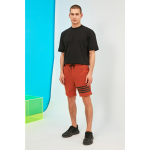 Trendyol Tile Men's Regular Fit Shorts & Bermuda