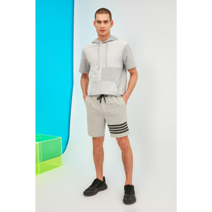 Trendyol Grey Men's Regular Fit Shorts & Bermuda