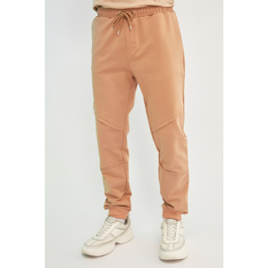 Trendyol Beige Men's Regular Fit Tracksuit bottom