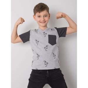 DODO KIDS Gray t-shirt for a boy