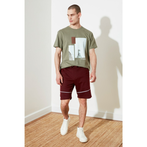 Trendyol Burgundy Men's Regular Fit Shorts & Bermuda