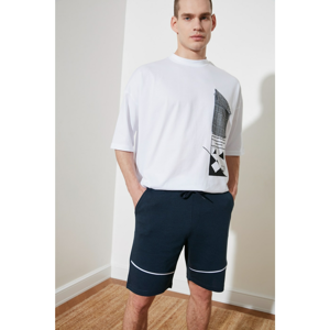 Trendyol Navy Blue Men's Regular Fit Shorts & Bermuda