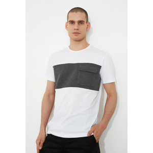 Trendyol White Male Regular Fit T-Shirt