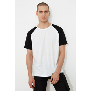 Trendyol White Male Regular Fit T-Shirt