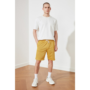 Trendyol Mustard Men's Regular Fit Shorts & Bermuda