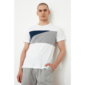 Trendyol White Male Regular Fit T-Shirt