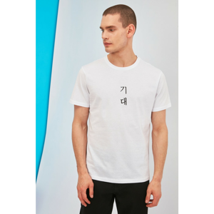 Trendyol White Male Regular Fit T-Shirt