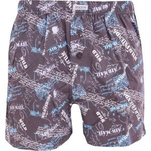 Men's shorts Andrie brown (PS 4910 B)