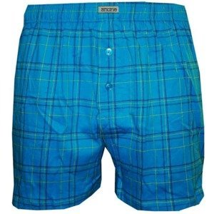 Men's shorts Andrie blue (PS 4978 C)