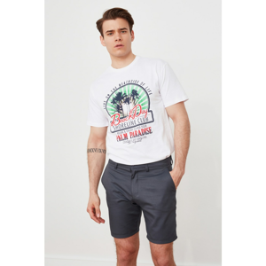 Trendyol Grey Men's Chino Shorts & Bermuda