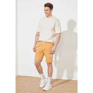 Trendyol Mustard Men's Regular Fit Shorts & Bermuda