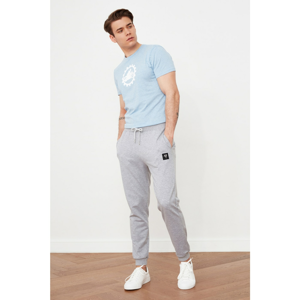 Trendyol Grey Male Regular Fit Tracksuit bottom