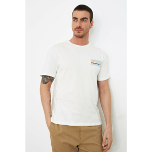 Trendyol White Male T-Shirt