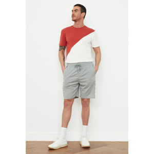 Trendyol Grey Men's Regular Fit Striped Shorts & Bermuda