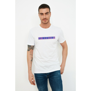 Trendyol White Male T-Shirt