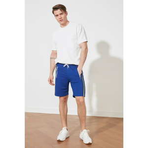 Trendyol Saks Men's Regular Fit Shorts & Bermuda