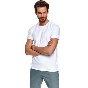 Top Secret MEN'S T-SHIRT SHORT SLEEVE