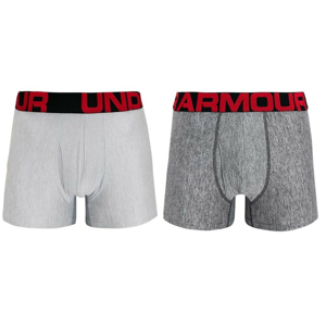 2PACK men's boxers Under Armor gray (1363618 011)