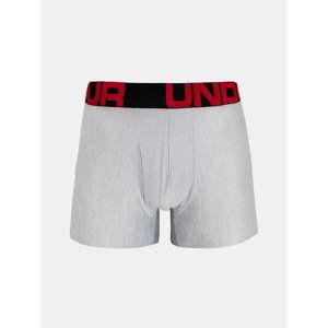 2PACK men's boxers Under Armor gray (1363618 011)