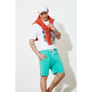 Trendyol Mint Men's Regular Fit Shorts & Bermuda