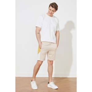 Trendyol Beige Men's Regular Fit Shorts & Bermuda