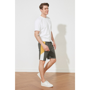 Trendyol Anthracite Men's Regular Fit Shorts & Bermuda