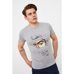 Trendyol Gray Men's Regular Fit T-Shirt