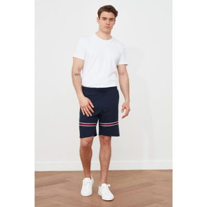 Trendyol Navy Blue Men's Regular Fit Striped Shorts & Bermuda