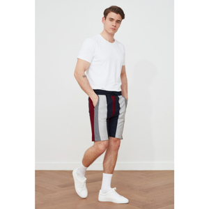 Trendyol Multi Color Men's Regular Fit Shorts & Bermuda