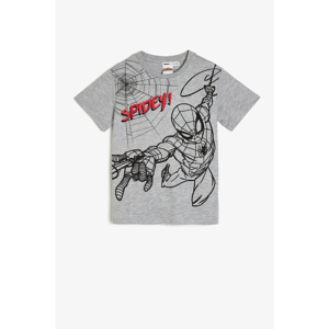 Koton Gray Unisex Child T-Shirt