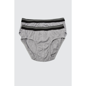 Trendyol Gray Male 2-Pack Slip Boxer