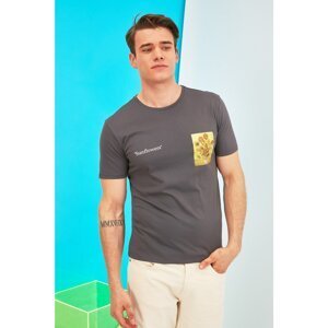 Trendyol Anthracite Men's Slim Fit Printed Licensed Short Sleeve T-Shirt