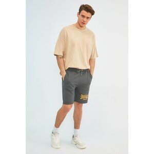 Trendyol Anthracite Men's Regular Fit Printed Licensed Shorts & Bermuda