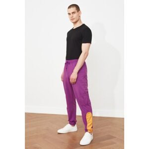 Trendyol Purple Men's Regular Fit Trousers