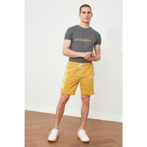 Trendyol Mustard Men's Regular Fit Shorts & Bermuda