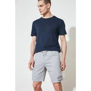 Trendyol Gray Men's Regular Fit Shorts & Bermuda