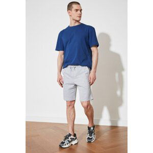 Trendyol Gray Men's Regular Fit Shorts & Bermuda