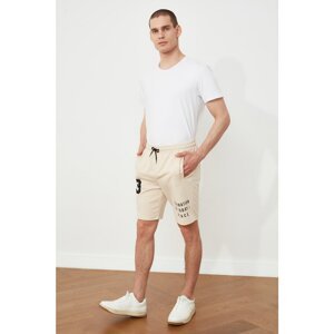 Trendyol Beige Men's Regular Fit Shorts & Bermuda